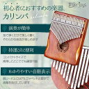 カリンバ 17 キー マホガニー チューニング 初心者向けの楽器セット付き親指ピアノ kalimba 子供 大人へのギフト All in One Kitmusic