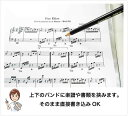 File PLUS DO 楽譜ファイル 書き込みできる バンドファイル 書き込み リングタイプ 30ポケット