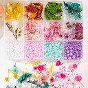 ネイルパーツ ドライフラワー パール ボックス 12色セット かわいい 花柄 レジン封入 素材 デコパーツ アソート スマホケース アクセサリー 手芸 DIY