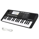 ONETONE ワントーン 電子キーボード ミニ37鍵盤 LEDディスプレイ搭載 USB-MIDI対応 日本語表記 OTK-37M(2)