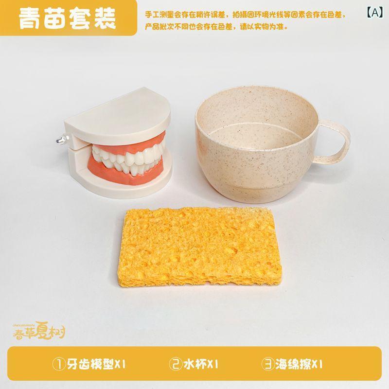 知育玩具 歯ブラシ 洗面用品 セット 幼稚園 早期教育 歯磨き練習 模型 海綿 操作カード