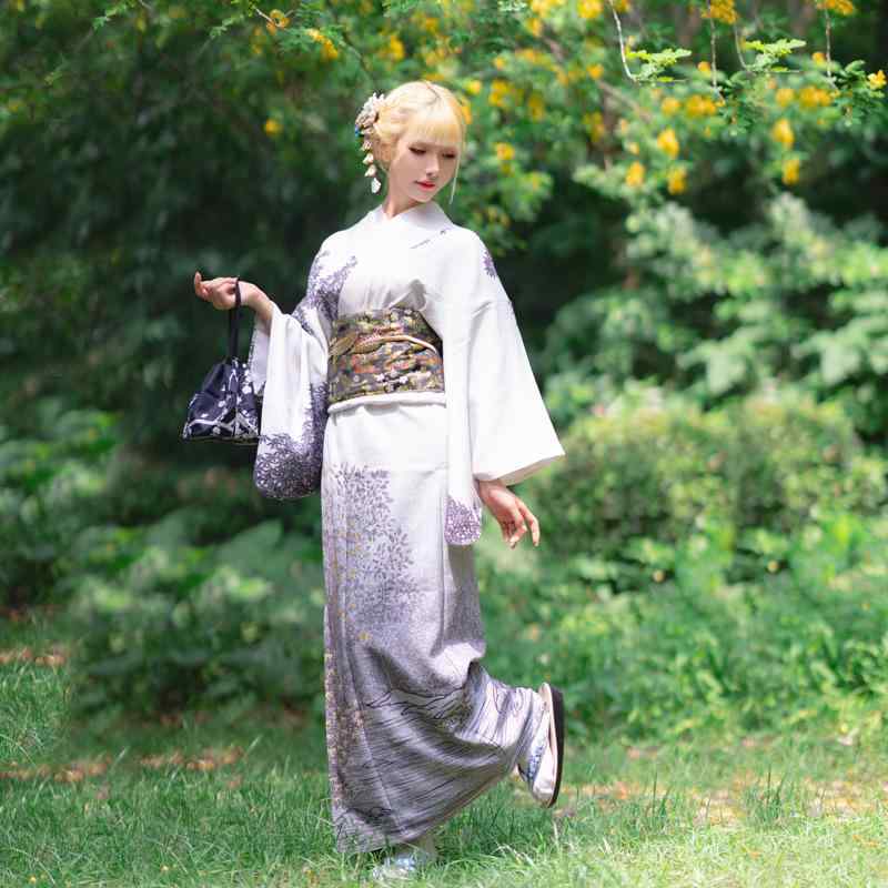 和服 レディース 女性用 訪問着 正装 セット ポリエステル 160cm グレー 舞台衣装