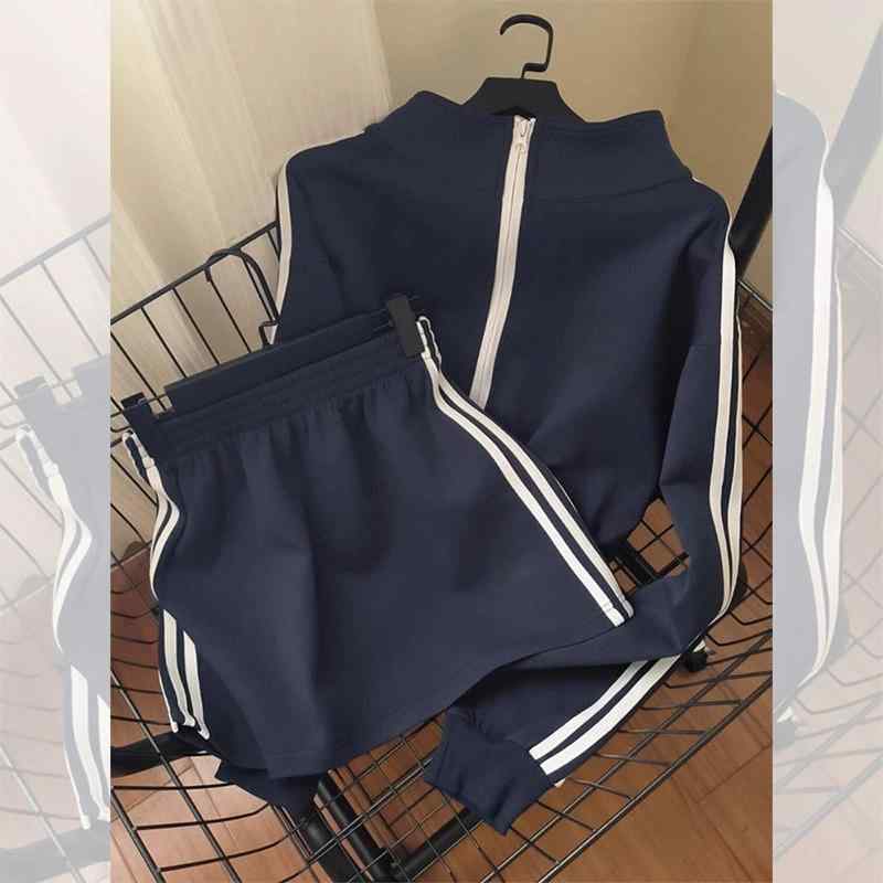 スウェット レディース セットアップ 春秋冬 韓国風 スカート 上下セット 2点 藏藍色 普段使い 部屋着