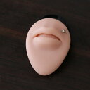 模型 レディース 口 シリコン製 フェイスパーツ 口紅展示 唇ピアス タトゥー練習用 五官科 医療用 ドール マネキン