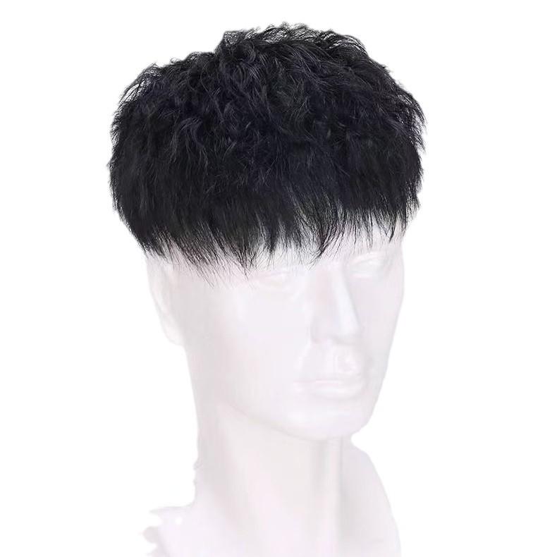 メンズウィッグ ショートヘア 人毛100% ヘアピース 部分ウィッグ 医療用 かつら 黒髪 栗色 薄毛 隠し 増毛 通気性 装着簡単 自然 16cm 18cm