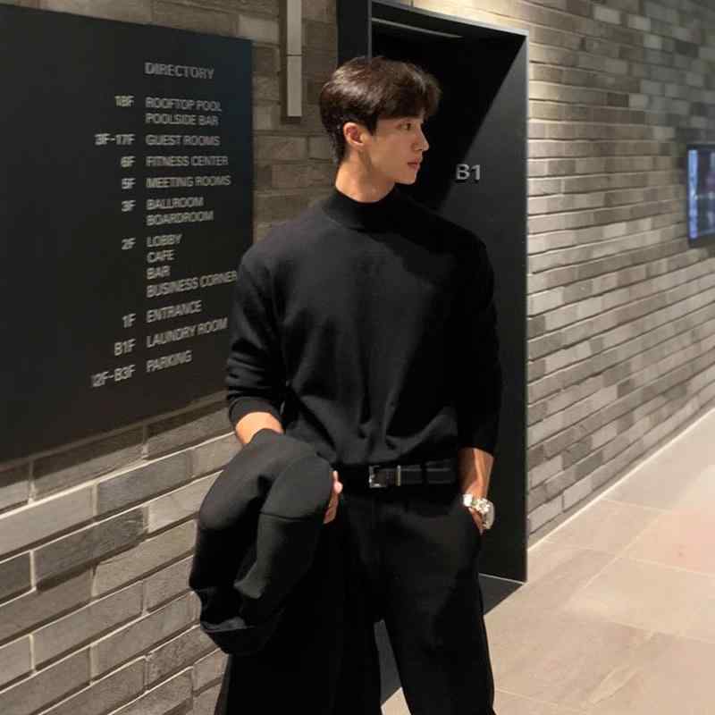 ニット メンズ 黒 ハイネック トップス 韓国風 ゆったり 長袖 無地 春秋 インナー プルオーバー 日常着 普段使い 部屋着 聚???