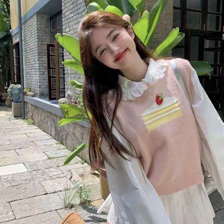 ニットベスト レディース ラウンドネック ケーキ刺繡 ノースリーブ チュニック 秋冬 韓国風 ゆったり ..