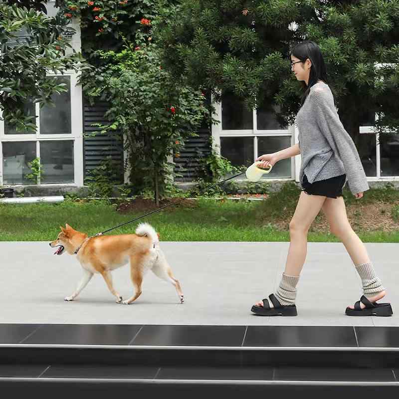 犬 伸縮リード テディ ベア 犬用リード 小型犬 中型犬 散歩用 ペット用品 牽引ロープ