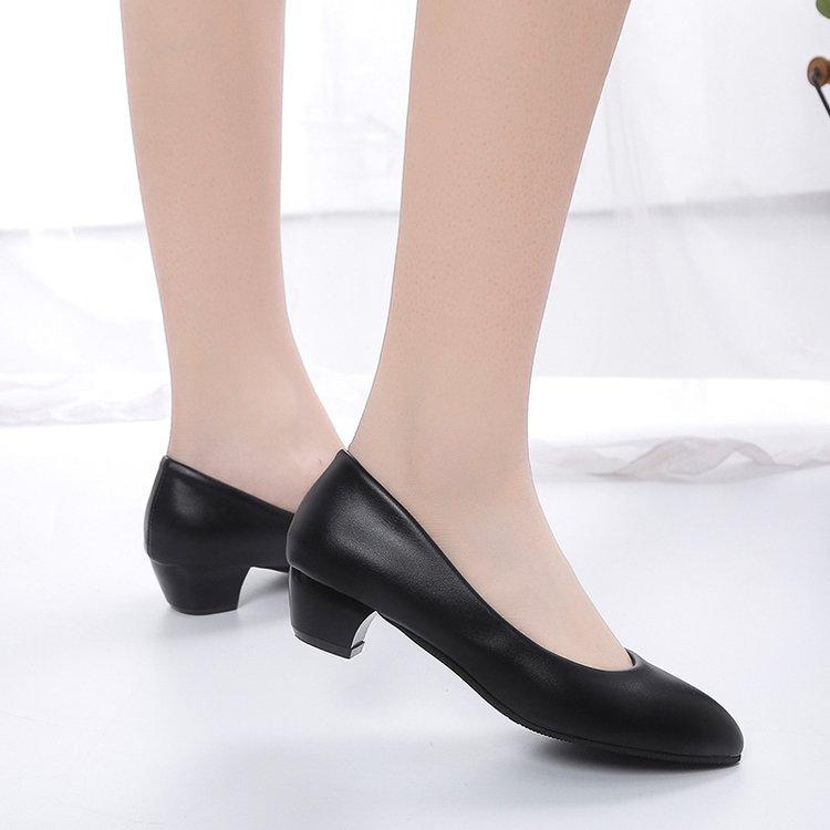 ѥץ ǥ ݥƥåɥȥ ϥҡ 3cm 4cm ֥å  ̵ ս Ż ʻȤ  