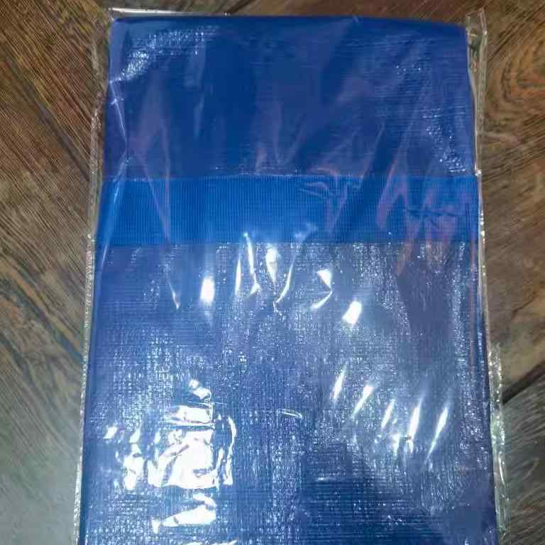 収納バッグ 大容量 折りたたみ式 引っ越し ランドリーバッグ 防水 防塵 旅行 衣類収納 整理