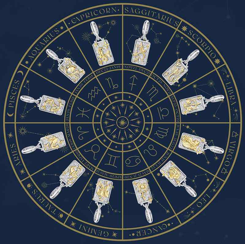 ペンダントトップ レディース S925 シルバー DIY 星座モチーフ ビーズ チャーム パーツ 水瓶座 魚座 牡羊座 牡牛座 双子座 蟹座 獅子座 乙女座 天...