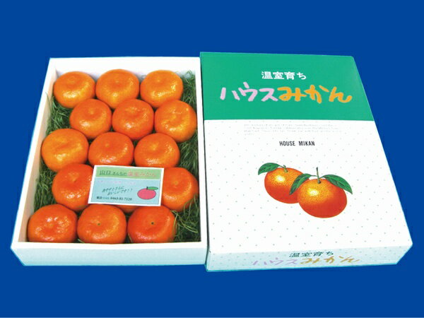 ハウスみかん 1.5kg