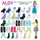 4礫᡼ ̵  SALE  å˥λ 24ƿ 른 λ å 롼å 硼ȥå  19cm-21cm 22cm-24cm ALGY 󥭥1̥å | åλ åλҥ˥ 륽å