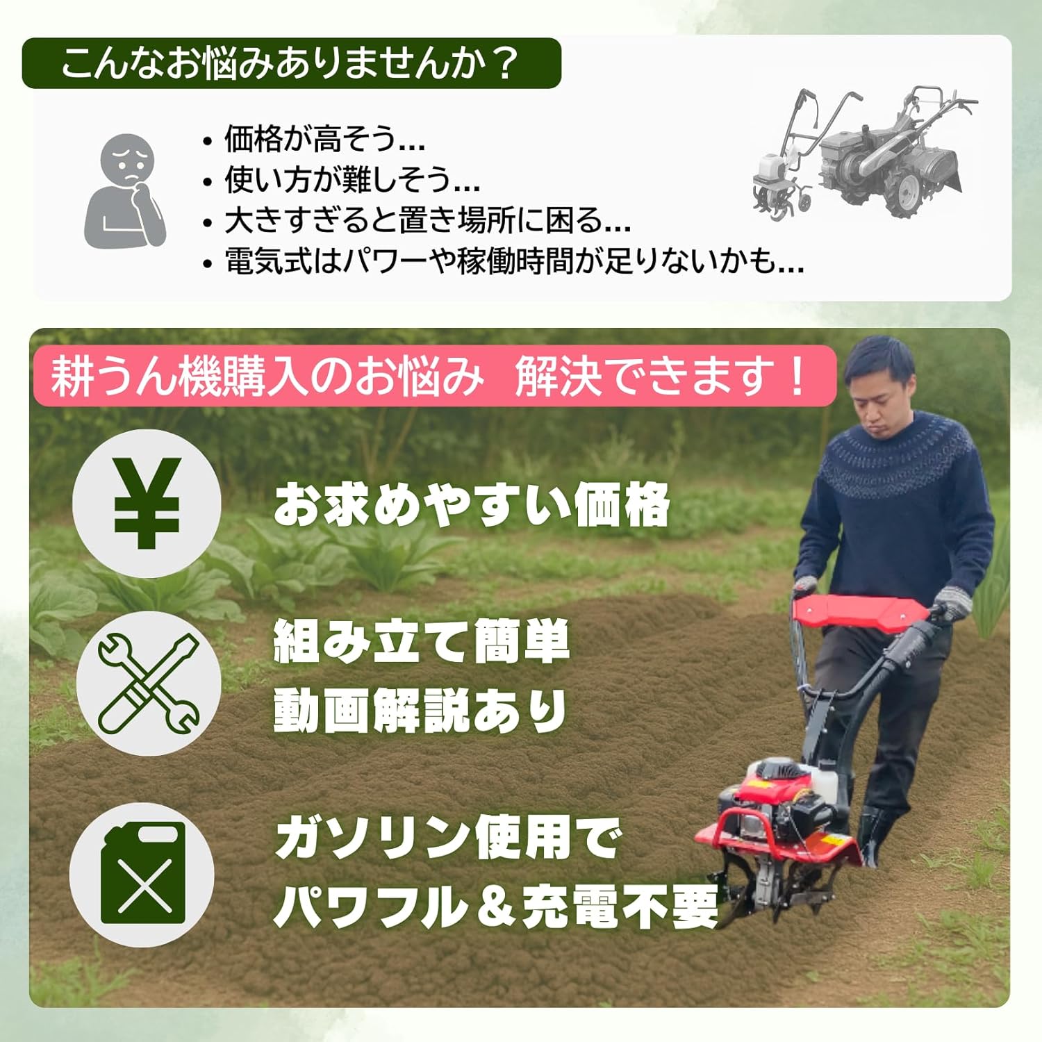 ��0��5������������5%�����ݥ�ۡڸ������Ȥȶ�Ʊ��ȯ��kohakoha�̤��� �̱��� ������ �̱��� ���󥸥�