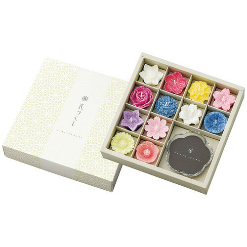 ̵̵Τ̵ۥ ַɥ롦饹å(ʪ) T9620-07-00(B5)