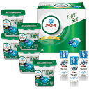 【お中元・送料無料】P&G アリエールジェルボール部屋干しギフトセット PGJH-50E(B5) 御中元