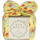 【ギフト包装・のし紙無料】おふろはん ごろごろ果実 THOH-N610(A5)(3)
