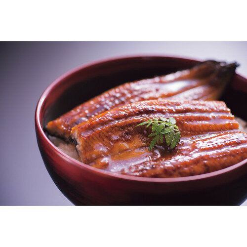【お中元・送料無料】大森淡水 九州産うなぎ蒲焼切身(10枚) 御中元