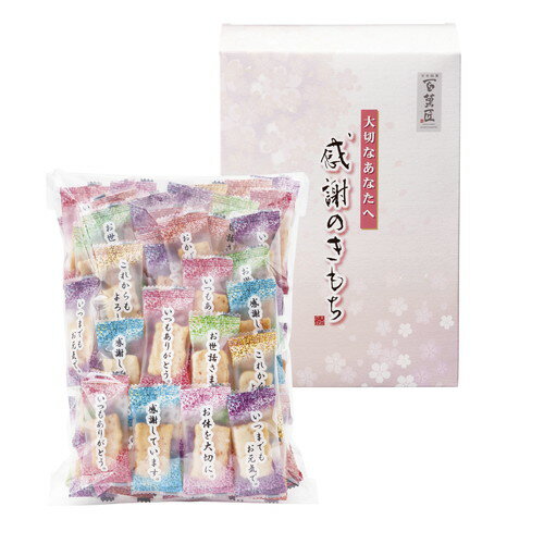 【送料無料・包装無料・のし無料】百菓匠まえだ 感謝のきもち OT-10(A4)