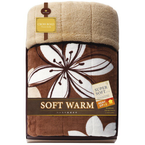 【送料無料・包装無料・のし無料】SOFT WARM あったか遠赤極ふわ合せ綿入毛布 24100(A3)