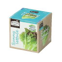 アーテック エコ栽培キット Re:Green サニーレタス