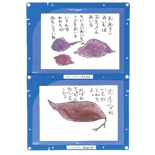 アーテック 縦横連結掲示ホルダー A4