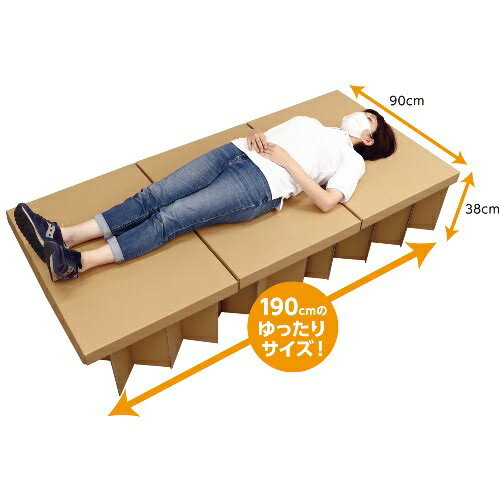 アーテック ATエコダンベッド