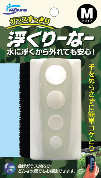 ⤯꡼ʡ M ۥ磻