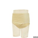 ニシキ デラックス安心ショーツ300 女性用 LLサイズ ベージュ H4947-LL-BE 4975973930653 自立支援衣料