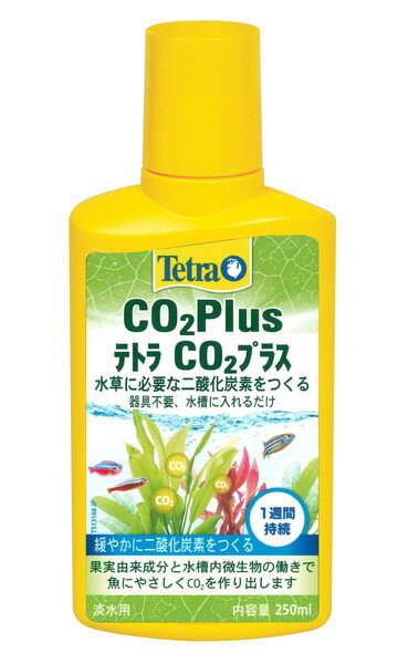 eg CO2 vX 250ml