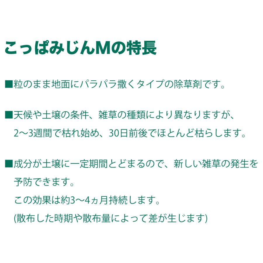 激安ショップE・T・Mのレインボー薬品 除草剤 こっぱみじんM 3kg 家庭用 まくだけ 雑草｜アングル2
