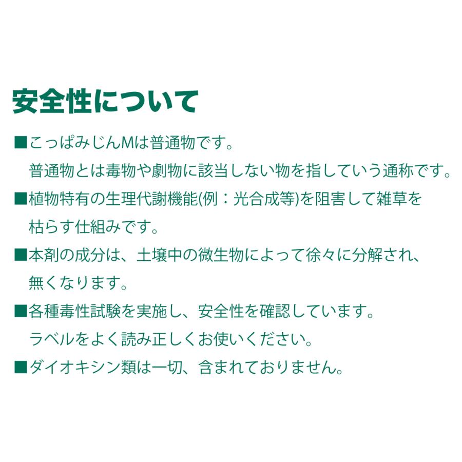激安ショップE・T・Mのレインボー薬品 除草剤 こっぱみじんM 3kg 家庭用 まくだけ 雑草｜アングル3