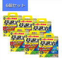【6個セット】住友化学園芸 除草剤 草退治E粒剤 3kg 雑草 枯らす 持続 効きめが速い