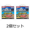 数量限定【2個セット】レインボー薬品 除草剤 こっぱみじんM 3kg 家庭用 まくだけ 雑草