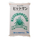 カネコ種苗 緑肥 エンバク ヒットマン 1kg
