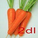 【入荷次第出荷】カネコ種苗 あけみ五寸 人参 2dl