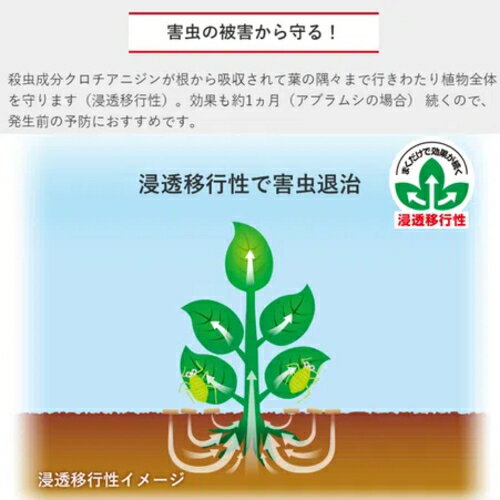 住友化学園芸　ベニカXガード粒剤　550g　4個セット