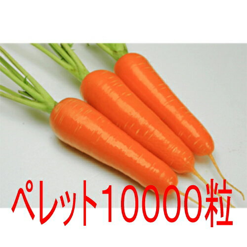 【入荷次第出荷】カネコ種苗　紅はやて　人参　ペレット10000粒