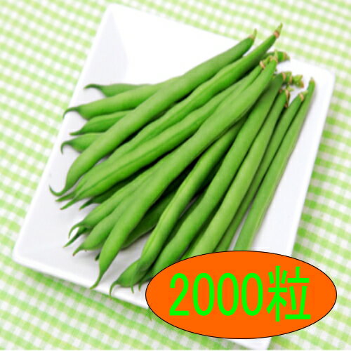 ※時期によっては出荷までにお時間を頂く場合がございます。又、季節もの、流動的な商品の為品切れの場合もございますので申し訳ございませんがその場合キャンセルさせていただきます。 ※場合によってはメーカー直送になることもございますので予めご了承ください。 特性 ●白種子の早生種で、播種後47日位で収穫ができます。 ●草勢はおとなしく、立性の小葉で密植栽培向きです ●花の開花が短期間にそろうので、一斉に収穫ができます。 ●莢は濃緑で丸く、長さが10cm前後で、やや太めです。 ●莢の曲りが非常に少ないです。莢が大きくなっても硬くなりにくく、在圃性が高いです。 ●作型は、春・秋のハウス栽培とトンネル早熟栽培に適します。