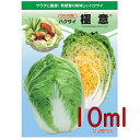 【入荷次第出荷】カネコ種苗 極意 白菜 10ml