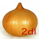 【入荷次第出荷】カネコ種苗 浜笑 玉葱 2dl