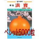 【入荷次第出荷】カネコ種苗 浜育 玉葱 ペレット5000粒