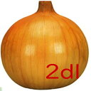 【入荷次第出荷】カネコ種苗 濱の宝 玉葱 2dl