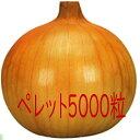 【入荷次第出荷】カネコ種苗 濱の宝 玉葱 ペレット5000粒