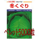 【入荷次第出荷】カネコ種苗 冬くぐりキャベツ ペレット5000粒
