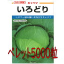 【入荷次第出荷】カネコ種苗 いろどりキャベツ ペレット5000粒