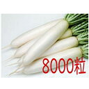【入荷次第出荷】カネコ種苗 順冬 大根 8000粒