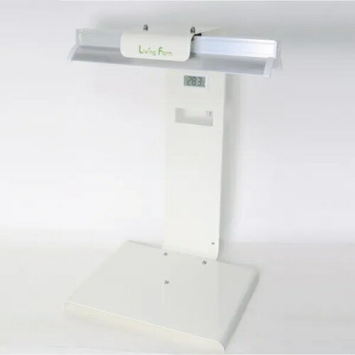 ��ӥ󥰥ե�����ڥ᡼����ľ���ʡ�������Բġ۾�����̺��ݴ� �����٥�SS�ʥۥ磻�ȡ�