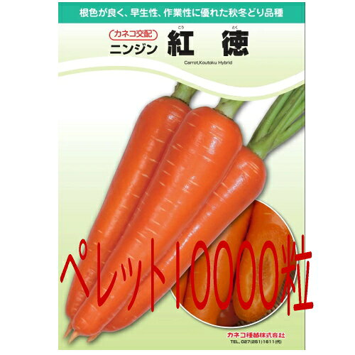 【入荷次第出荷】カネコ種苗　紅徳　人参　ペレット10000粒