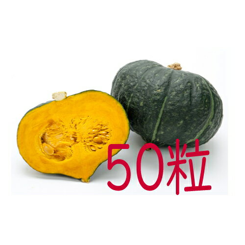 【入荷次第出荷】カネコ種苗 九重栗南瓜 50粒
